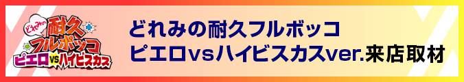 どれみの耐久フルボッコ　ピエロvsハイビスカスver.