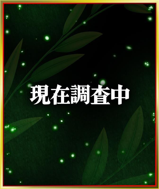 対象機種